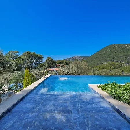 Villa Sharapova
